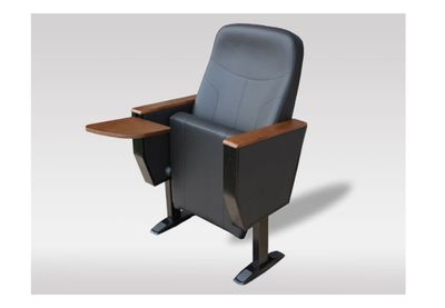 auditorium seat 2028